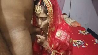Video Panas Istri Yang Menggoda Saat Mengisap Kontol Di Malam Karwa Chauth