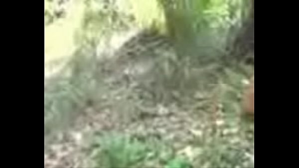 Video Mesum India 3gp Panas