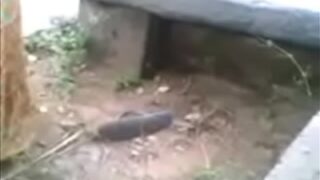 Ngentot Liar Di Luar Rumah, Istri Selingkuh Dan Pacar Gelapnya Sange Berat